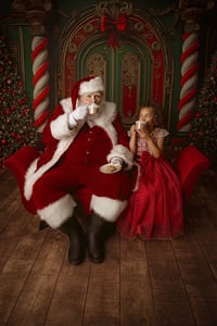 Image 4 of Deposit for Santa Experience Mini Sessions 2026