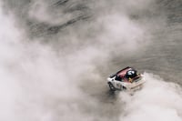 Dust and Gas