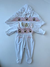Image 3 of Basket of flowers Babygrow set 