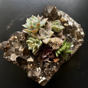 Image of TITANIUM AURA QUARTZ 