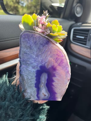 Image of GRAPE AGATE DESKTOP GARDEN W/MULTI-FLORA