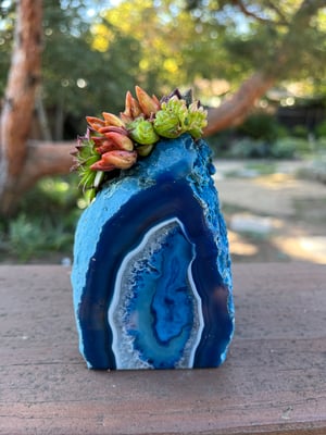 Image of COBALT AGATE GARDEN W/MULTI-FLORA DESKTOP GARDEN