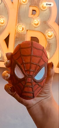 Image 1 of Web Slinging Hero