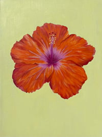 Image 1 of "how much more?"