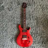 Image 1 of Sergeant Thunderhoof - PRS SE Guitar - Used by Mark Sayer