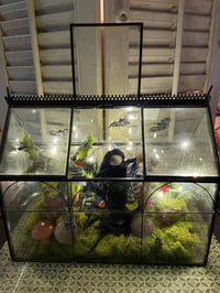 Image 1 of Morticia's Conservatory Lighted Lantern Halloween Decoration