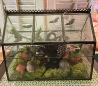 Image 2 of Morticia's Conservatory Lighted Lantern Halloween Decoration