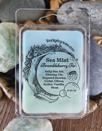 Image 1 of Sea Mist Brambleberry Fir- A Rocky Top Wax Works exclusive custom houseblend fragrance 