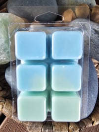 Image 5 of Sea Mist Brambleberry Fir- A Rocky Top Wax Works exclusive custom houseblend fragrance 