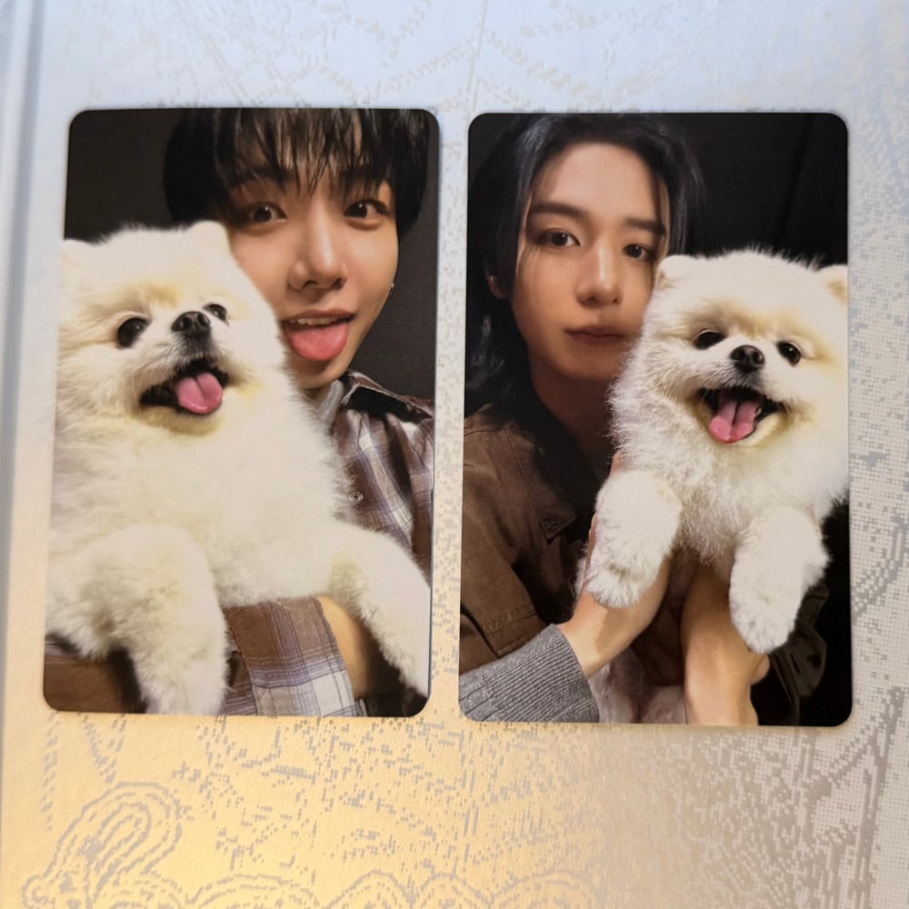 Image of BOYNEXTDOOR ‘HOME’ Photocard Weverse Shop POB