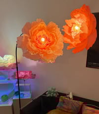 Image 8 of ACID BLOOM workshop