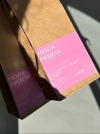 Infuso di Menta Piperita