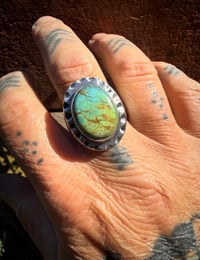 Image 2 of WL&A Old Style Sterling Silver High Grade Oval Patagonia Turquoise Signet - Size 11