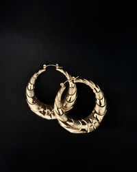 Image 2 of Sincerely, Uptown Hoop Earrings