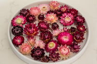 Image 1 of 60 Strawflower Heads - Pink