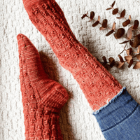 Image 1 of Birchtree Socks