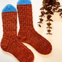 Image 2 of Birchtree Socks
