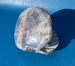 Image of Ceramic Shell Trinket Dish - Sea Witch // MicroPearl