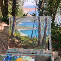 Image 2 of View to Durlston Bay and Old Harry Thought the Trees