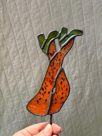 Image 1 of 01. Prickly Leg Poke (Different Colors Avail in Dropdown)