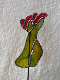 Image 2 of 01. Prickly Leg Poke (Different Colors Avail in Dropdown)