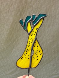 Image 2 of 02. Prickly Leg Poke (Different Colors Avail in Dropdown)