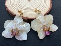 Image 1 of Real Orchid Resin Drop Earrings