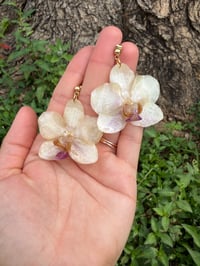 Image 2 of Real Orchid Resin Drop Earrings