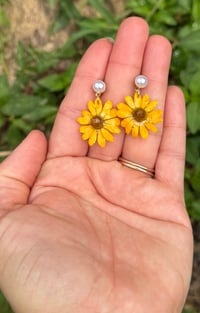 Image 3 of Real Daisy Resin Drop Earrings
