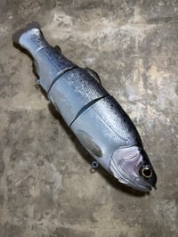 Image 1 of Immortal Trout 9.9 “Kokanee”