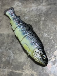 Image 2 of Immortal Trout 9.9 “Brown Trout”