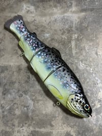 Image 1 of Immortal Trout 9.9 “Brown Trout”