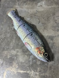 Image 2 of Immortal Trout 9.9 “Gold Leaf”