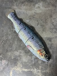 Image 3 of Immortal Trout 9.9 “Gold Leaf”