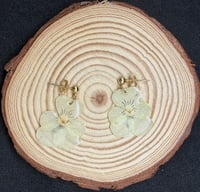 Image 1 of Ivory Pansy Resin Drop Earrings 