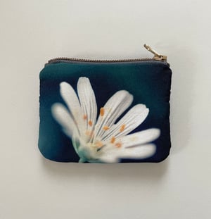 Image of Fly agaric lichen, double zipper pouch, fits cards