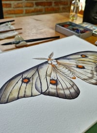 Image 4 of Ghostly Moth ORIGINAL ARTWORK