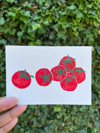 Cherry Tomato Family 