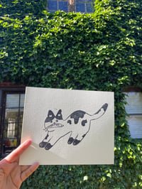 Cow Cat with fish Print 