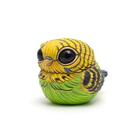 Image 2 of Chubby Bird: Green Parakeet