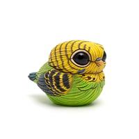 Image 4 of Chubby Bird: Green Parakeet