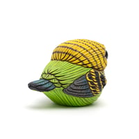 Image 5 of Chubby Bird: Green Parakeet