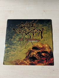 Image 1 of CATTLE DECAPITATION 7”
