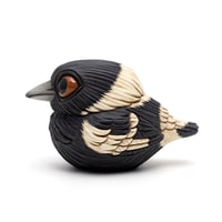 Image 1 of Chubby Bird: Australian Magpie