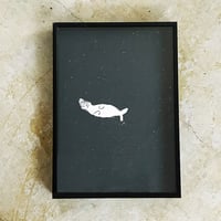 Image 1 of Hii