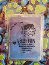 Image 1 of Slush Puppy - A Rockytop Wax Works exclusive custom houseblend fragrance 