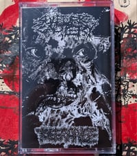 Sulfuric Cautery / Tolerance - Split CS