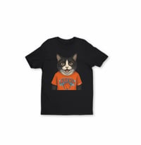 Knicks Cat