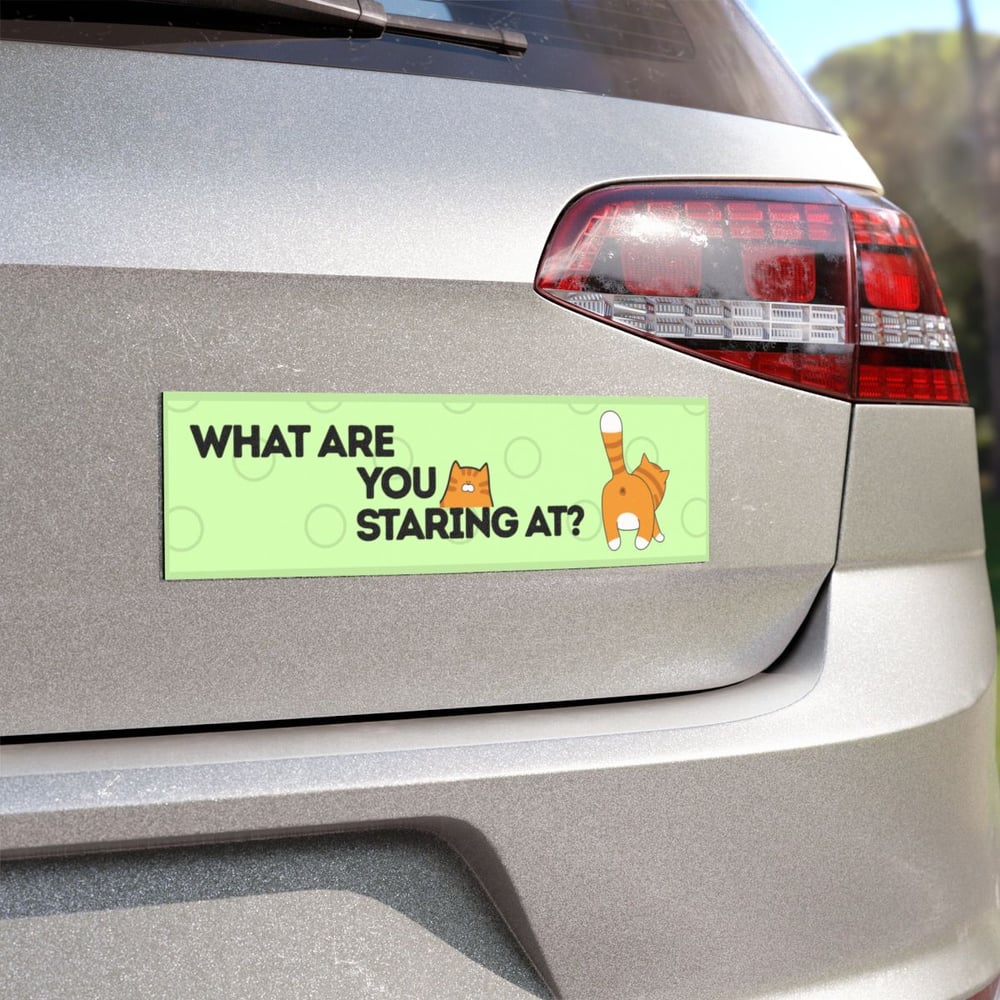 Image of What Are You Staring At? Funny Cat Butt Magnet | Orange Cat Refrigerator Magnet | Cat Lover Kitchen 