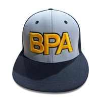 Gray Gamer Cap Fitted